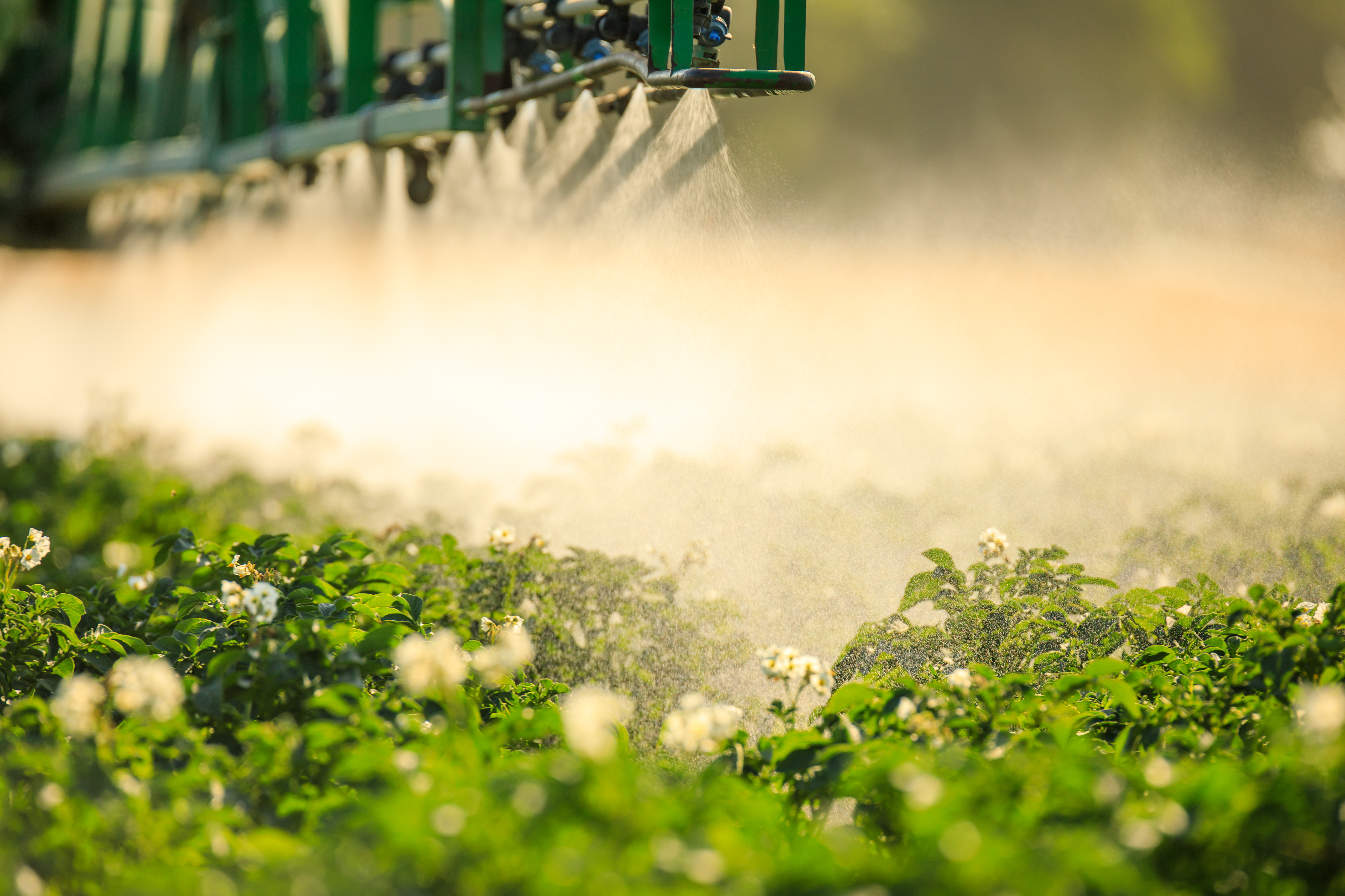 Odlingsjournalen 2025